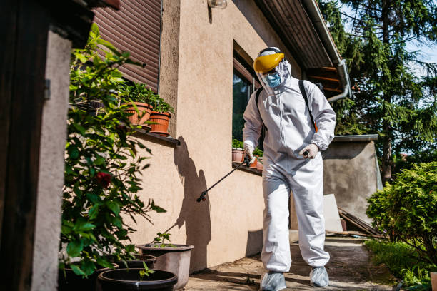 Best Bed Bug Extermination  in Utica, OH