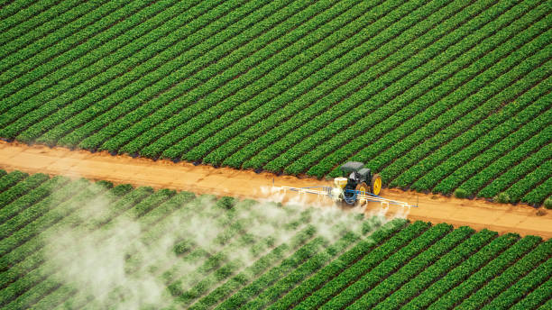 Best Mosquito Control Services  in Utica, OH