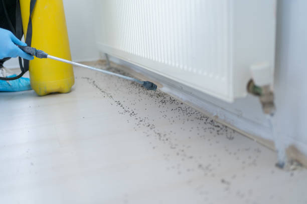 Best Pest Control Near Me  in Utica, OH