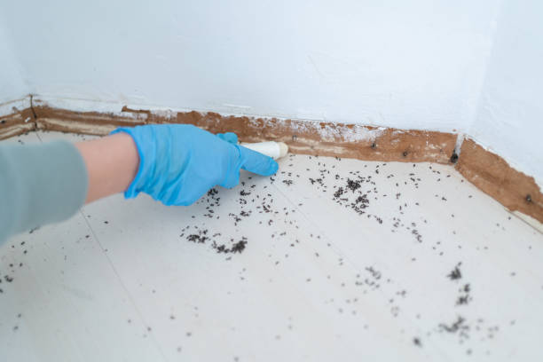 Best Best Pest Control Companies  in Utica, OH